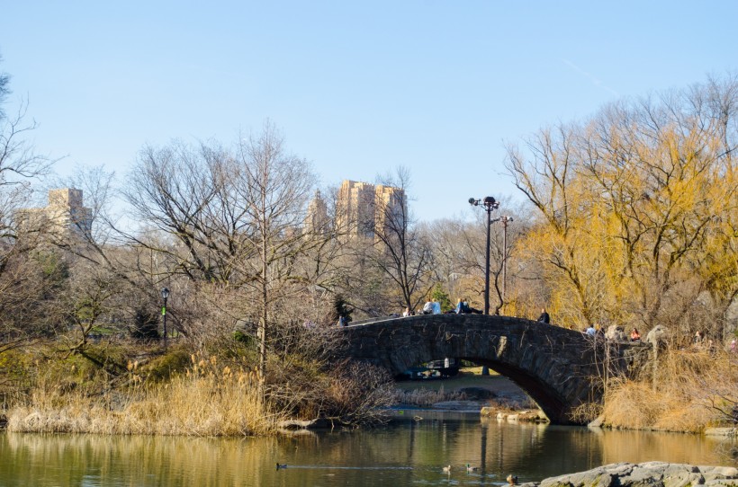 美國紐約中央公園風景圖片