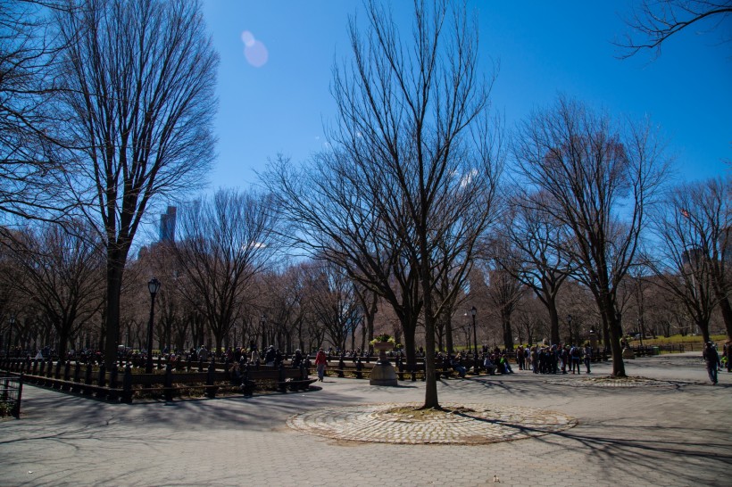 美國紐約中央公園風景圖片