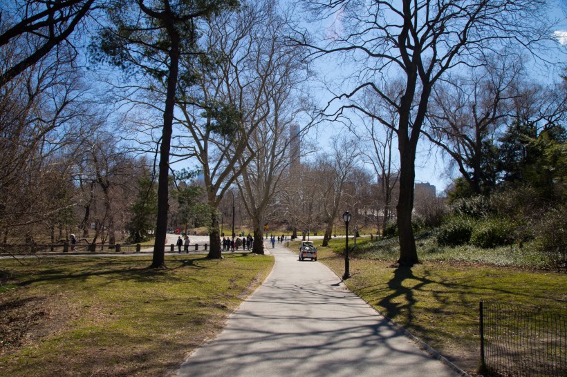 美國紐約中央公園風景圖片