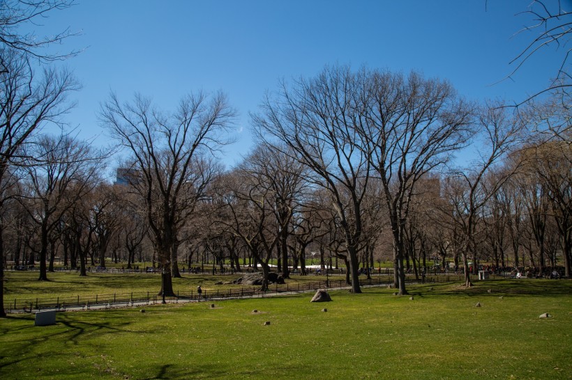 美國紐約中央公園風景圖片