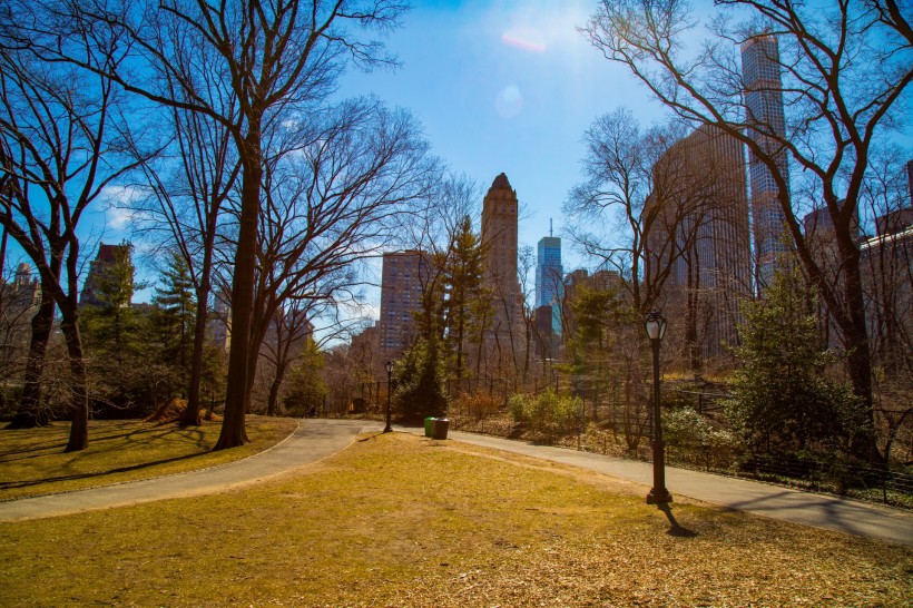 美國紐約中央公園風景圖片