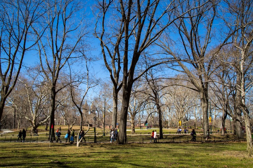 美國紐約中央公園風景圖片