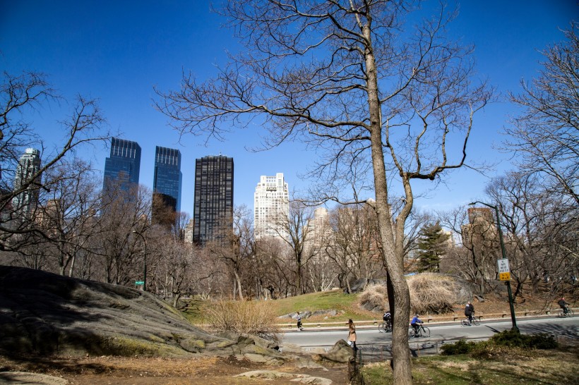 美國紐約中央公園風景圖片