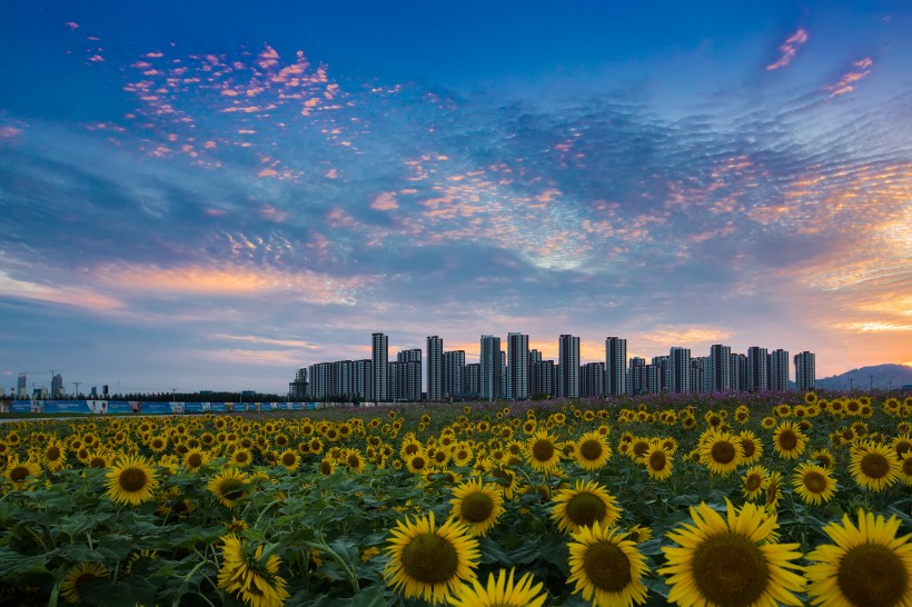 遼甯東戴河風景圖片  