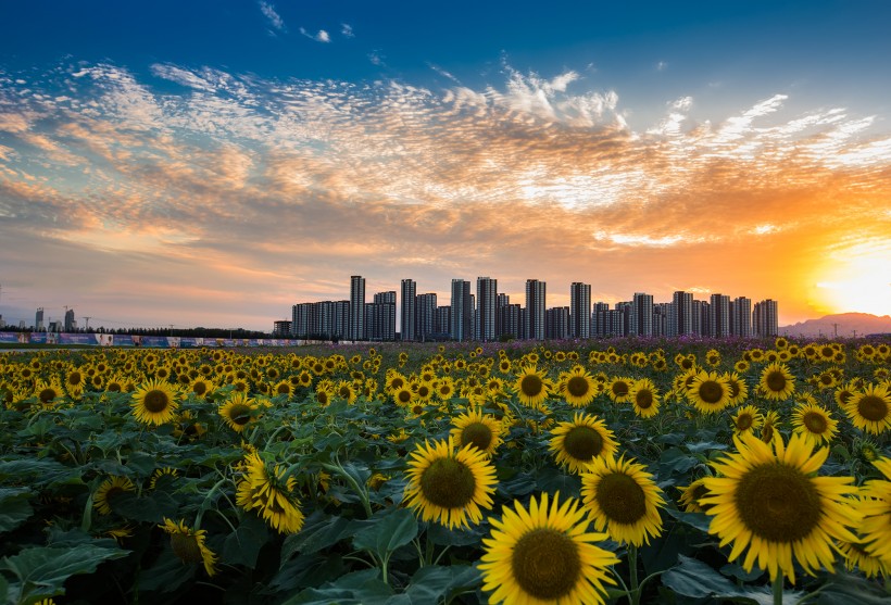 遼甯東戴河風景圖片  