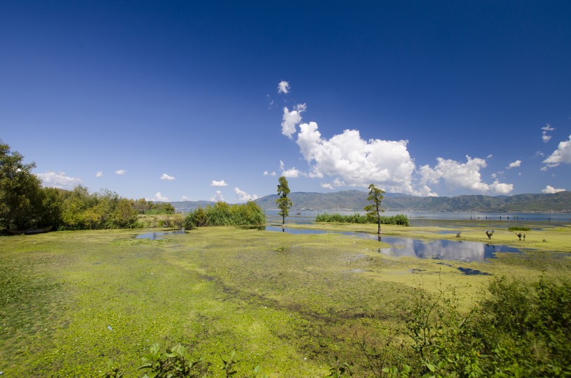 大理海舌生态公園風景圖片