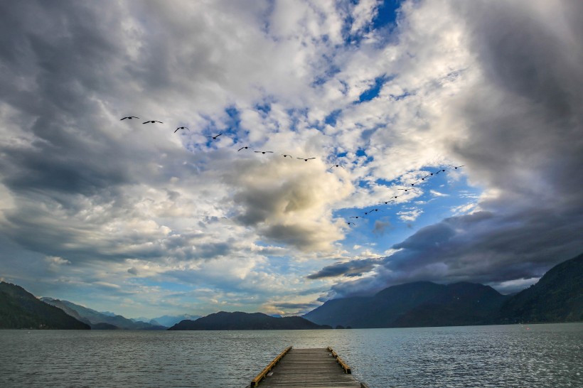 加拿大溫哥華哈裡森湖風景圖片