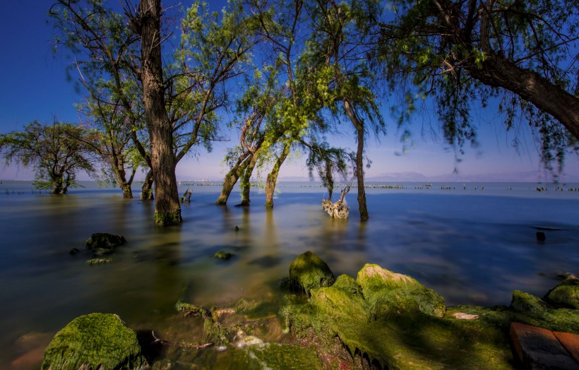 雲南昆明撈魚河濕地公園風景圖片