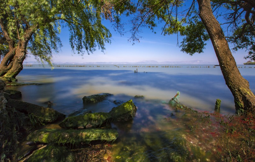 雲南昆明撈魚河濕地公園風景圖片