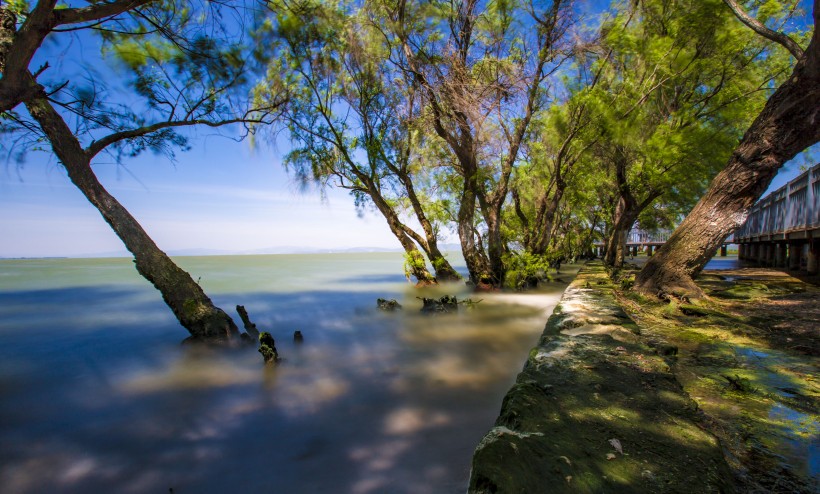 雲南昆明撈魚河濕地公園風景圖片