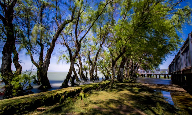 雲南昆明撈魚河濕地公園風景圖片