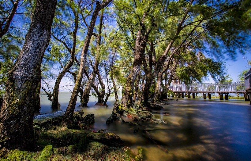 雲南昆明撈魚河濕地公園風景圖片