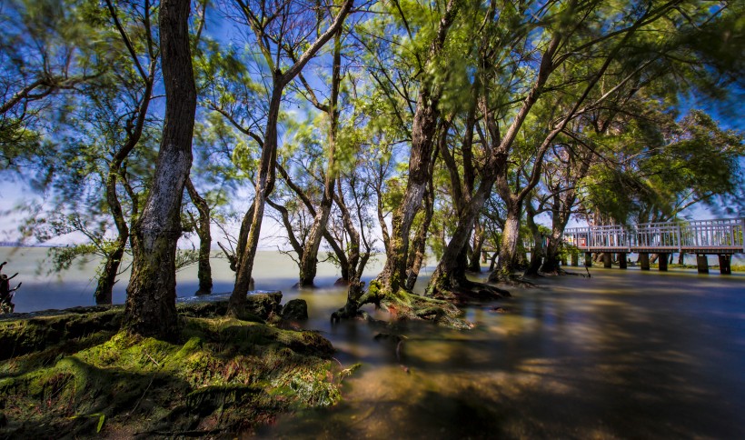 雲南昆明撈魚河濕地公園風景圖片