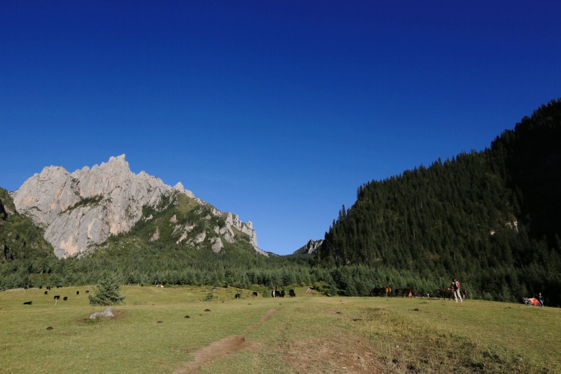 甘肅紮尕那山風景圖片