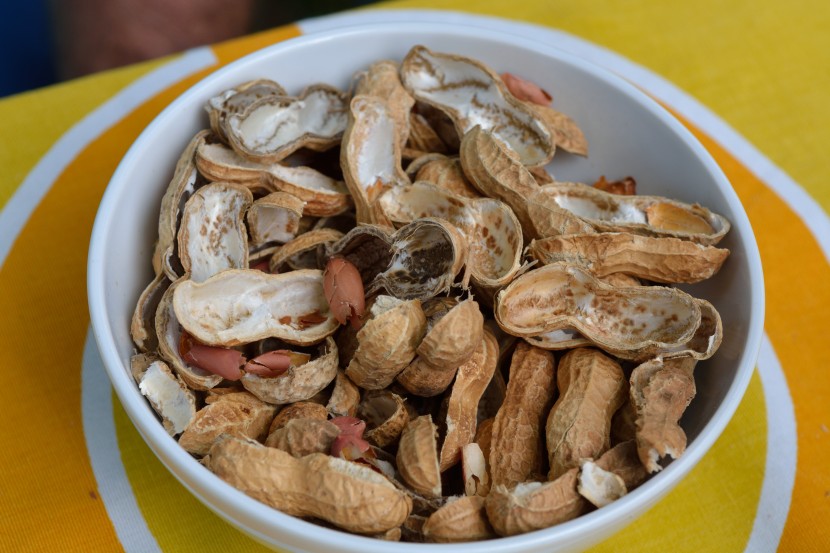 營養美味的花生圖片