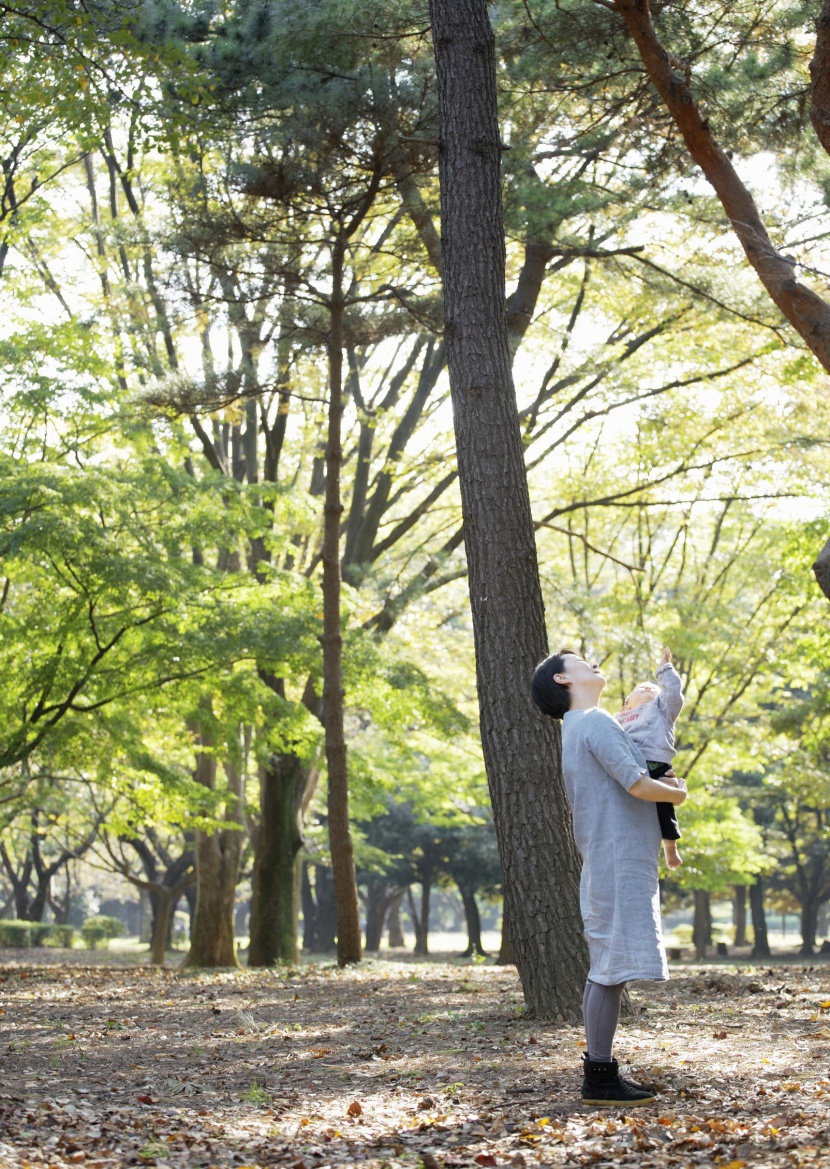 父母帶孩子草地玩耍圖片