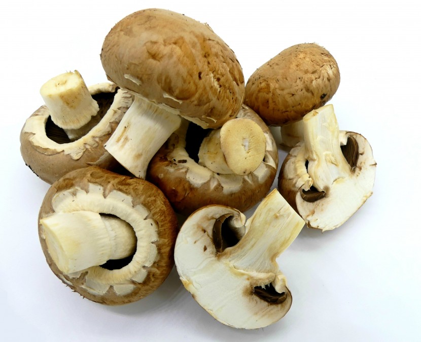 肉質肥厚的香菇圖片