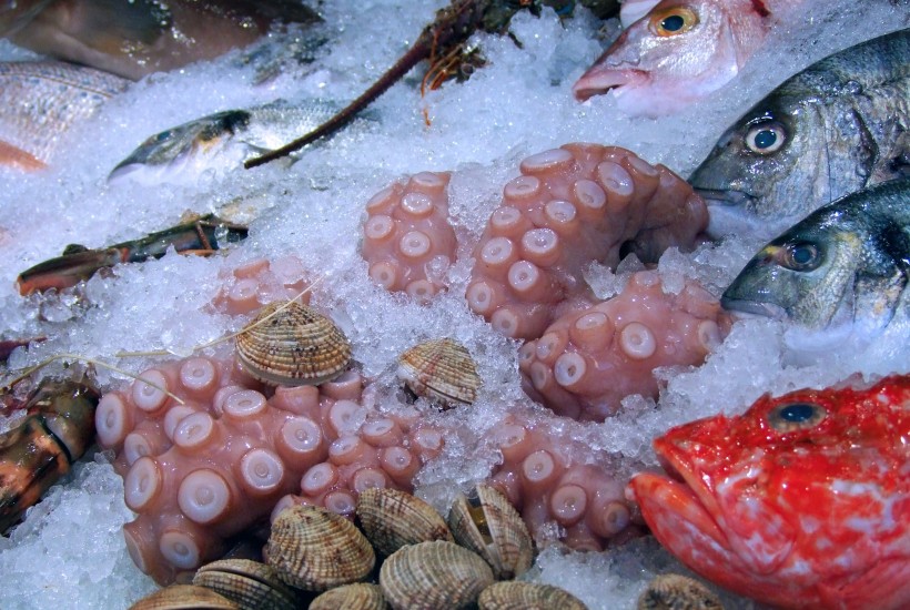 味道鮮美爽口的鱿魚圖片