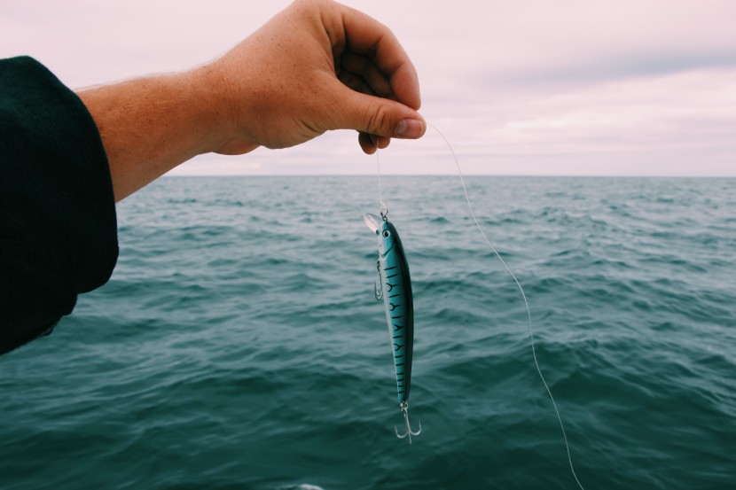 釣魚用的魚餌圖片