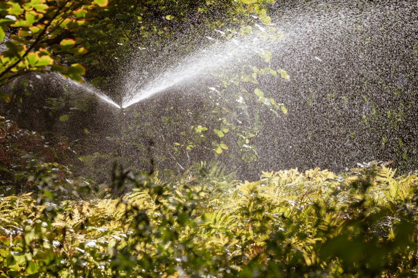 花園綠地自動灑水器圖片