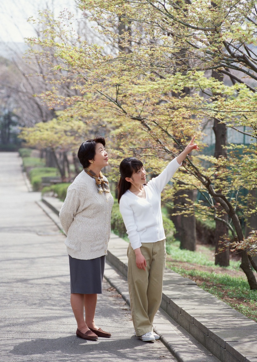 幸福老人外孫圖片