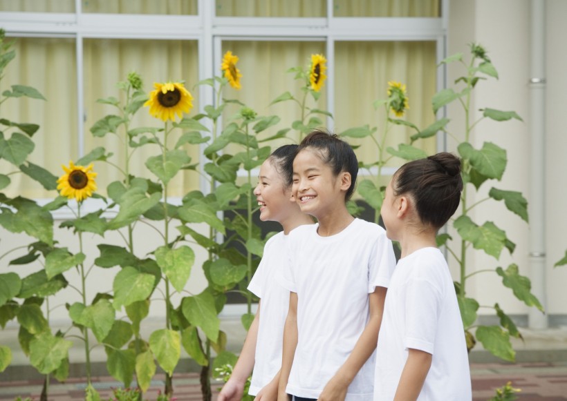 小學生實驗課圖片