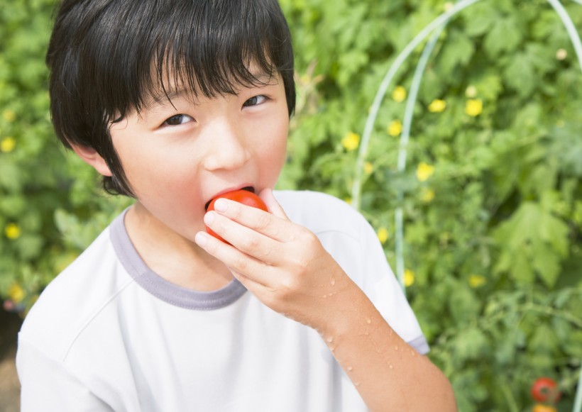 小學生實驗課圖片