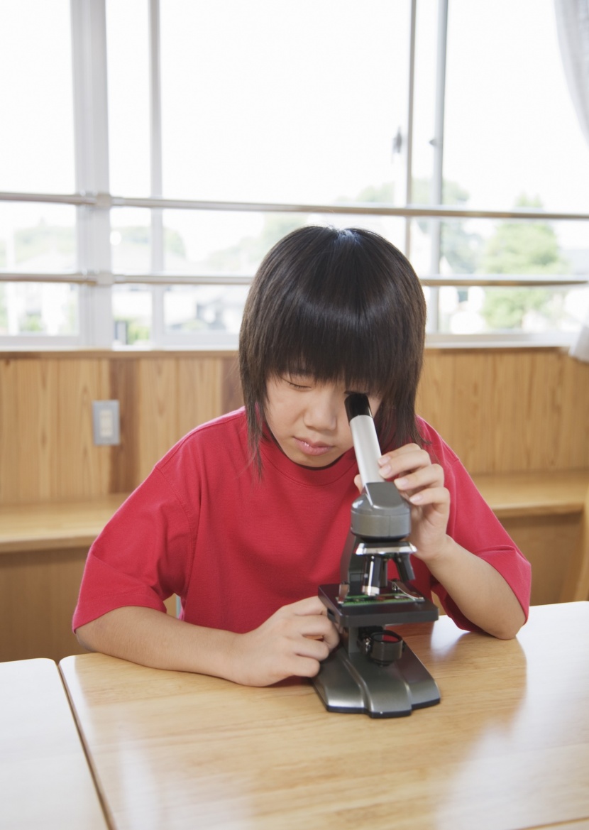 小學生實驗課圖片