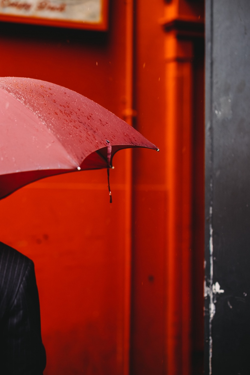 遮陽擋雨的雨傘圖片