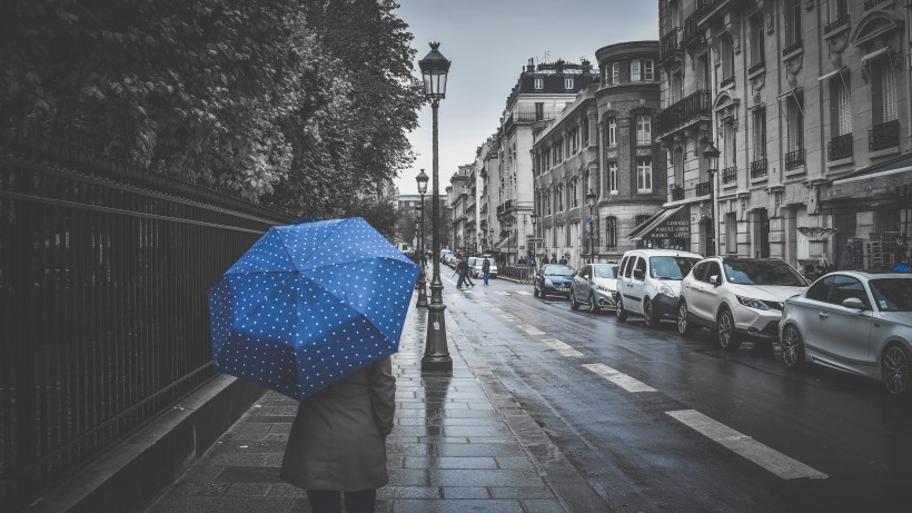 遮陽擋雨的雨傘圖片