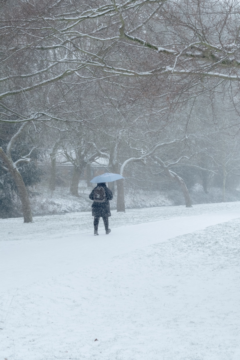 在雪中撐傘的人圖片