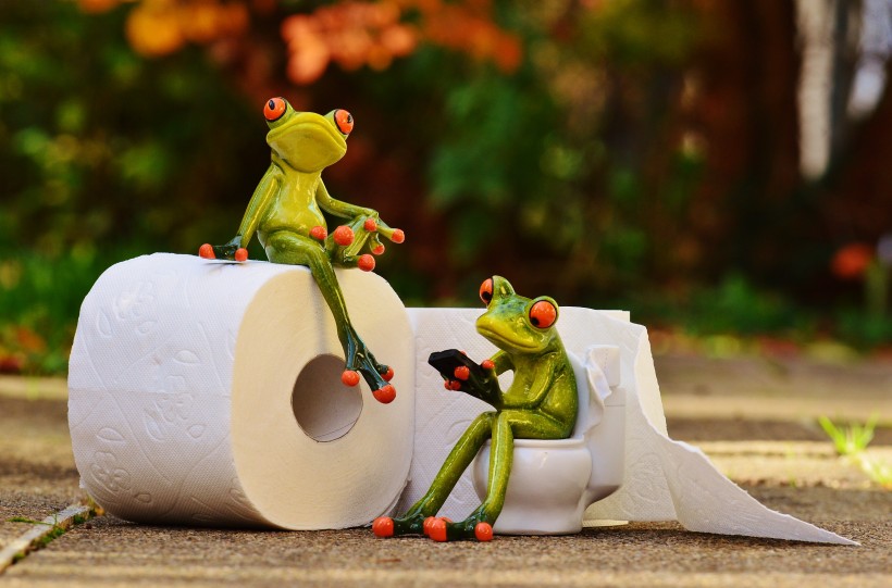 有趣的青蛙情侶擺件圖片