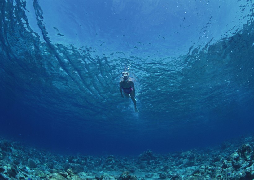 海底潛水圖片