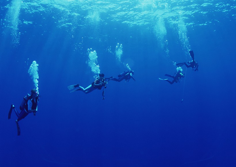 海底潛水圖片