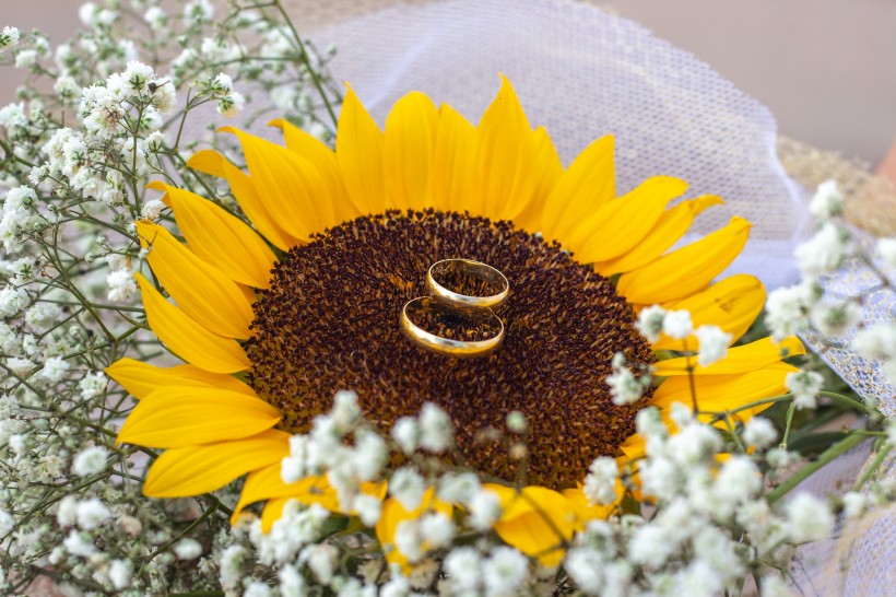 美麗鮮花上的結婚戒指圖片