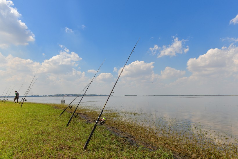 悠閑安靜的釣魚圖片