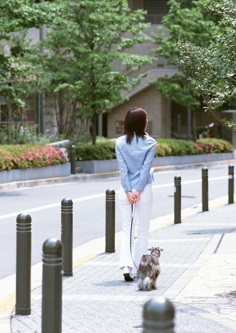 女性帶寵物逛街圖片