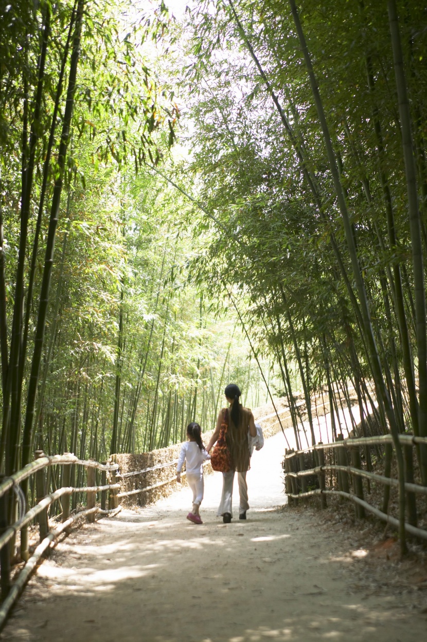 戶外竹林瑜伽圖片