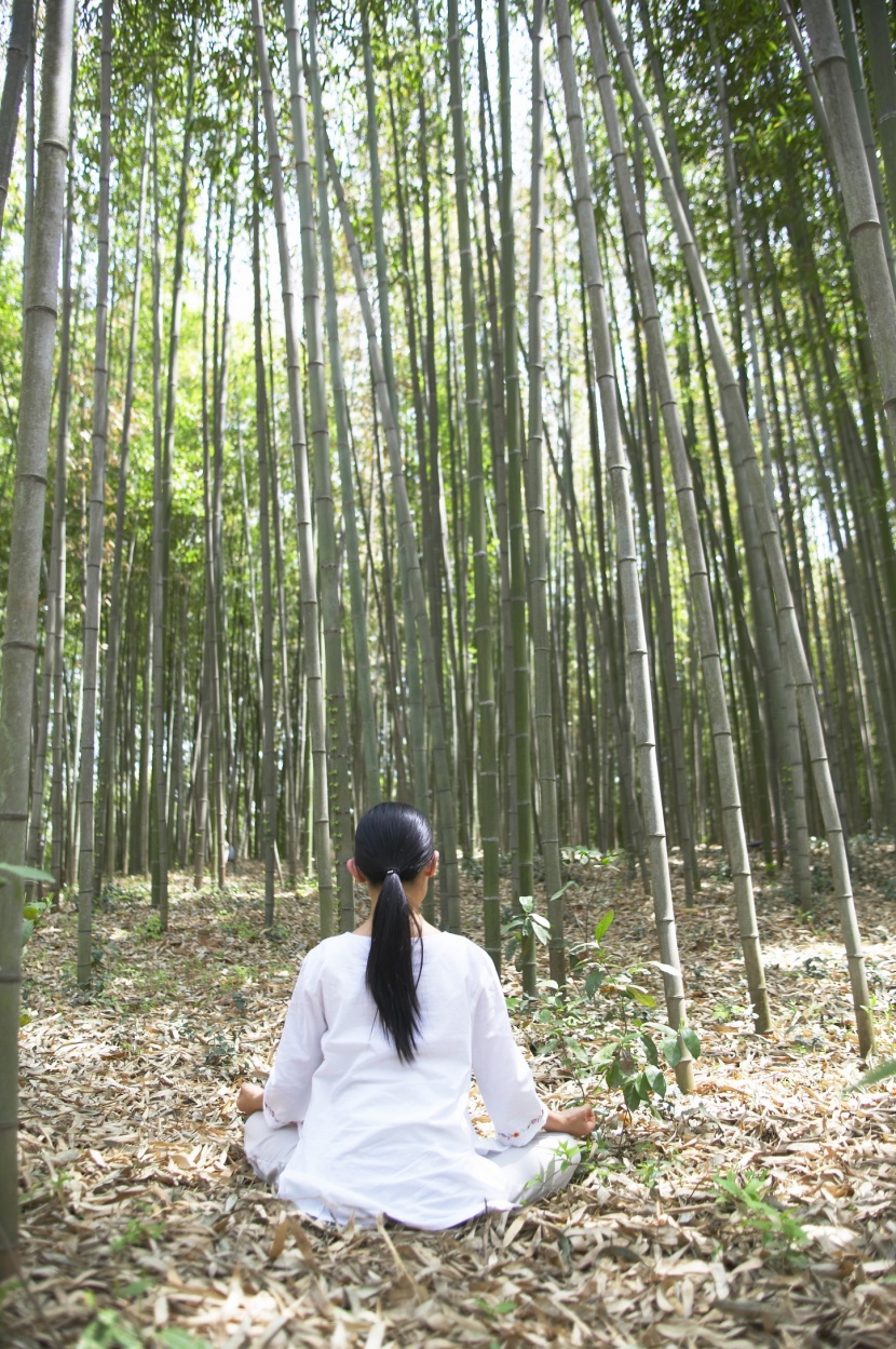 戶外竹林瑜伽圖片