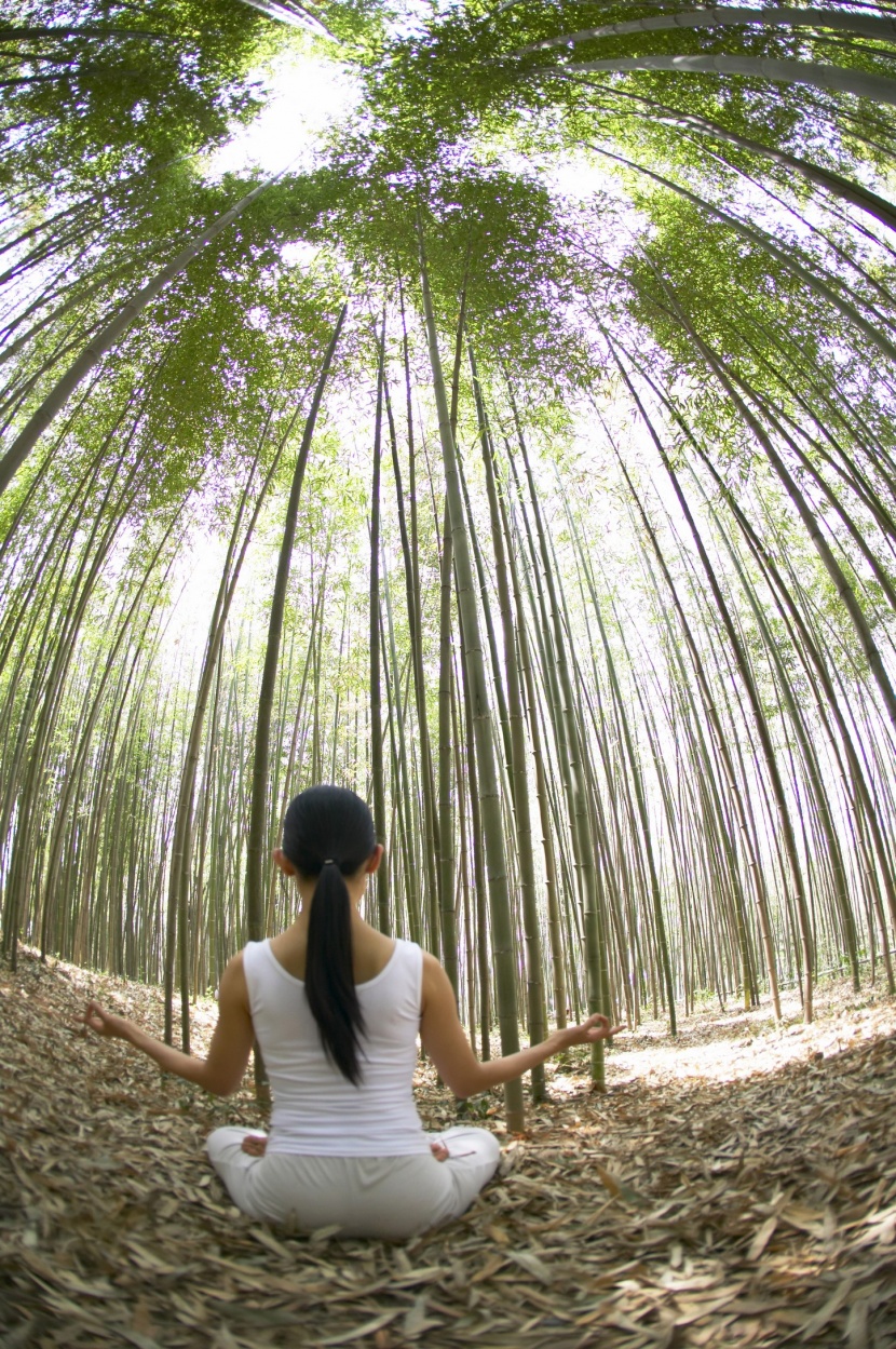 戶外竹林瑜伽圖片