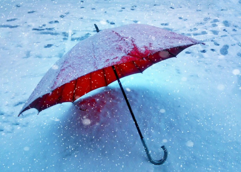 各式各樣的雨傘圖片