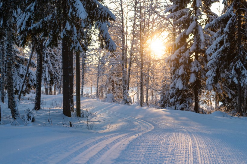 天氣晴朗的滑雪場圖片