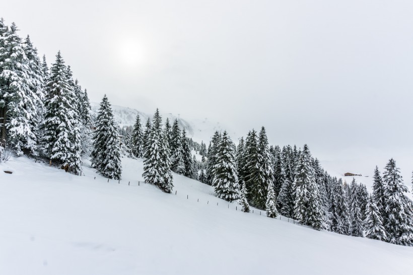 天氣晴朗的滑雪場圖片