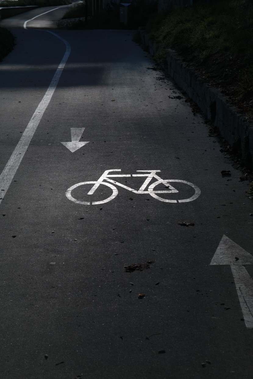 顯眼的自行車道标志圖片