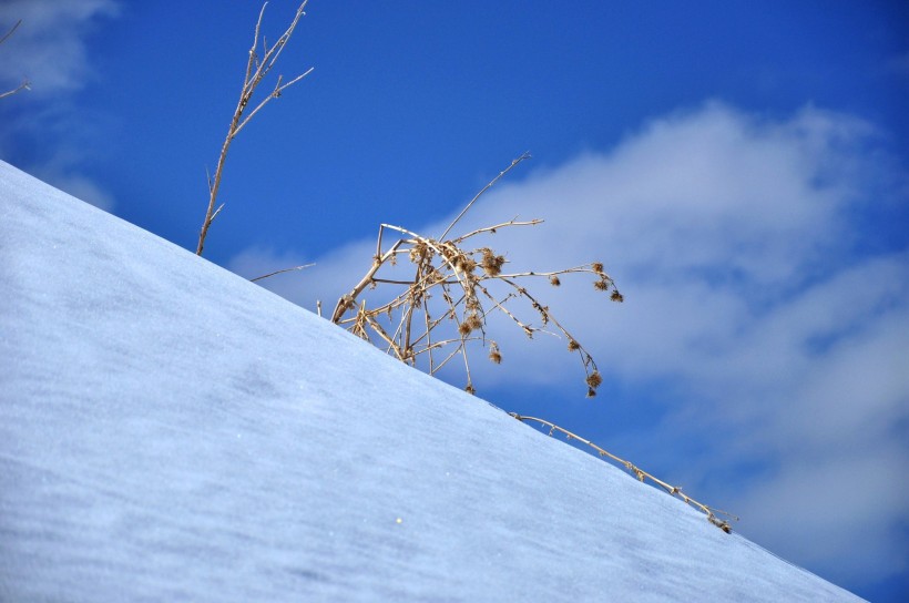 高山滑雪場圖片