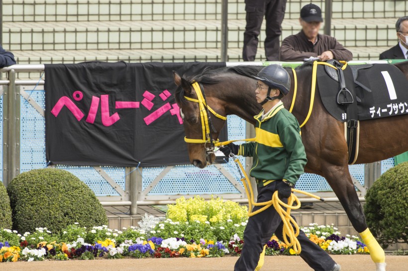 日本賽馬比賽的圖片