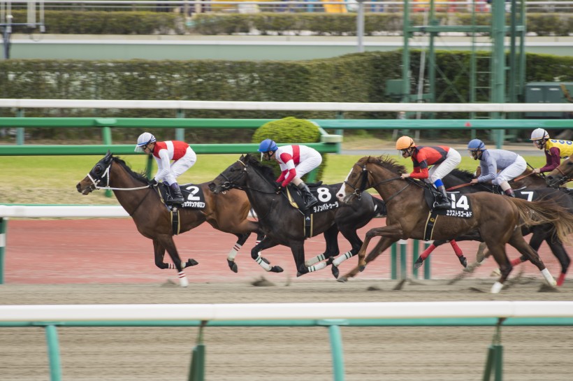 日本賽馬比賽的圖片