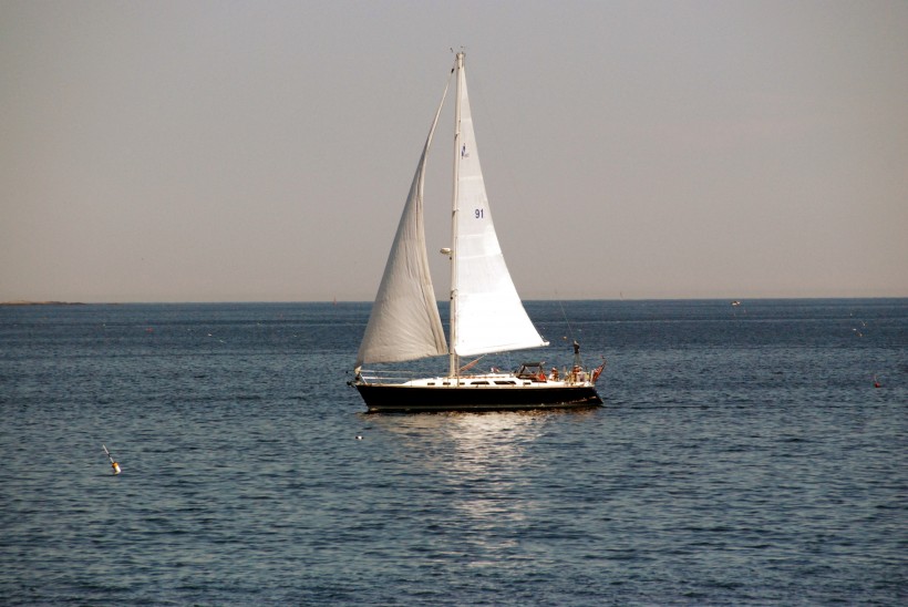 航行的白帆船圖片