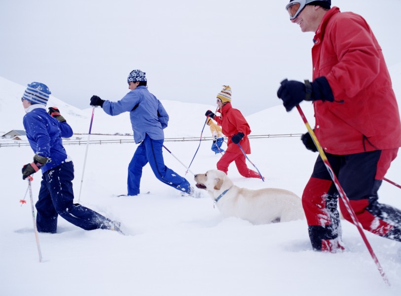 高清滑雪運動圖片