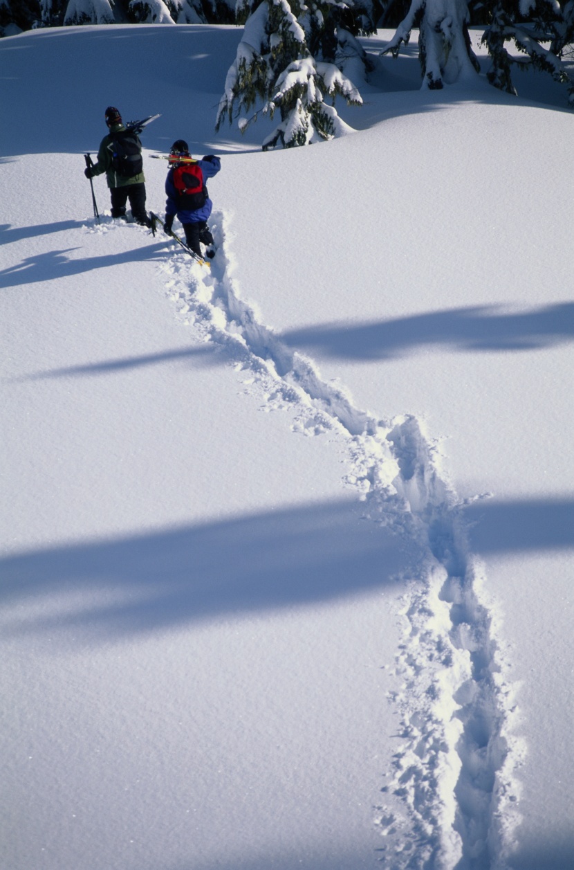 高清滑雪運動圖片